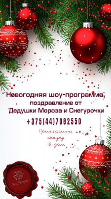 Дедушка Мороз и Снегурочка.