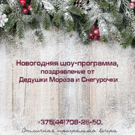 Дедушка Мороз и Снегурочка.