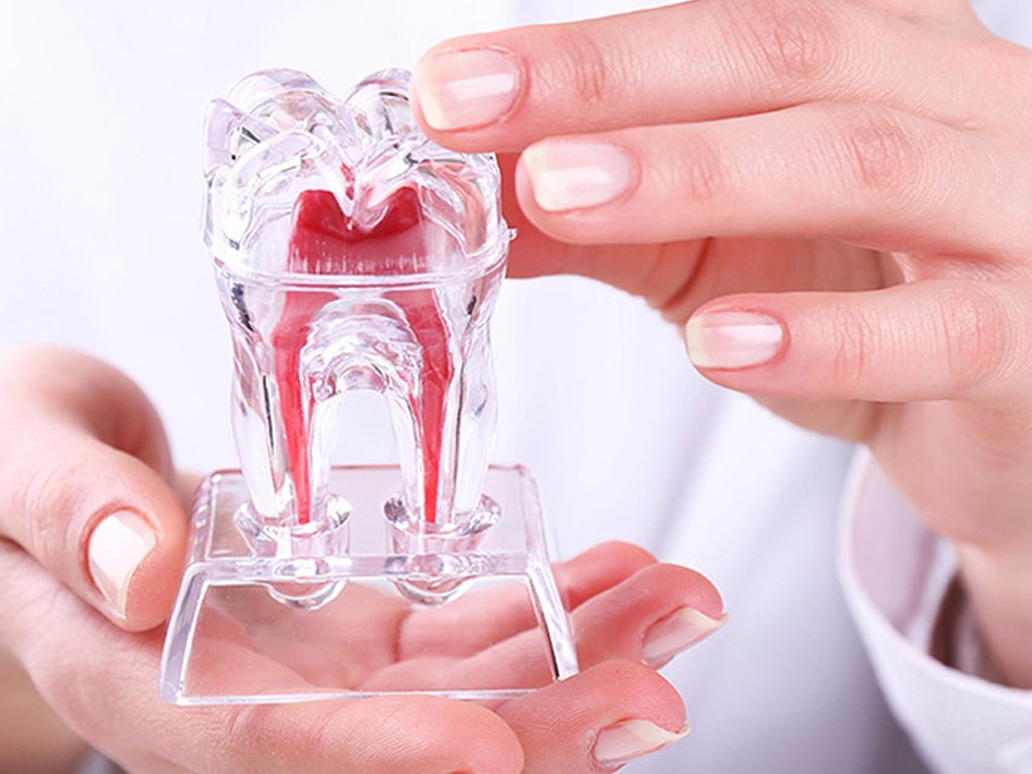 Лечение пульпита в Семейном стоматологе