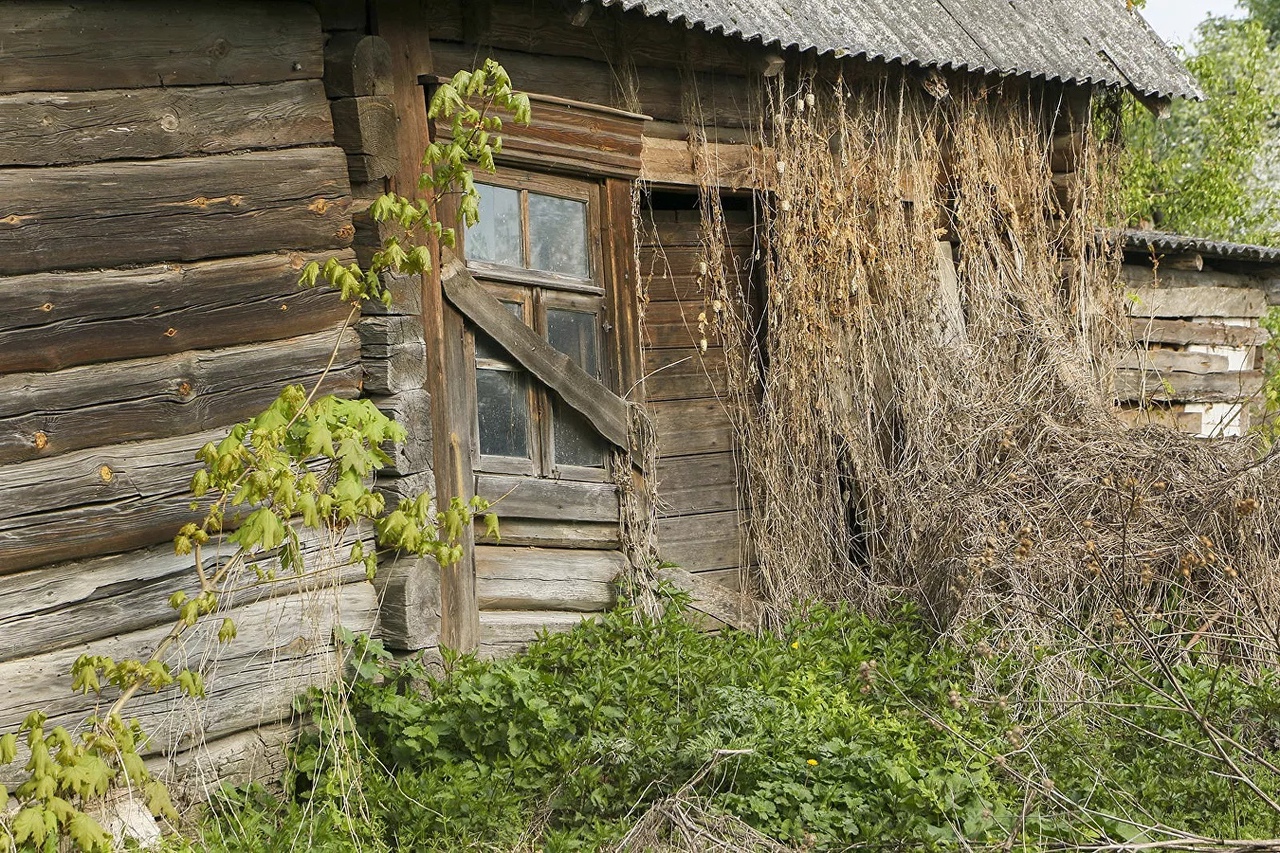 Живите кто хотите: легко ли в Беларуси купить заброшенные дома? - Слуцк |  сайт Слуцка