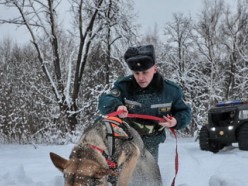 В Житковичском районе спасатели нашли в лесу заблудившихся рыбаков из Слуцка