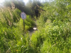 В Слуцком районе током убило рыбака