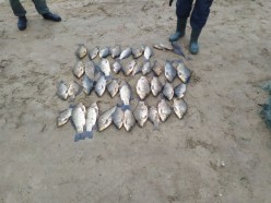 Ущерб в 5000. На жителей Солигорска возбудили уголовное дело за незаконный лов рыбы