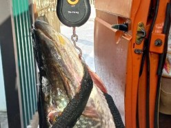 «Одной икры было 3 кило». Молодечненец вытянул на Вилейском водохранилище 15-килограммовую щуку